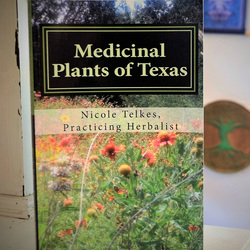 Wildflower School of Botanical Medicine