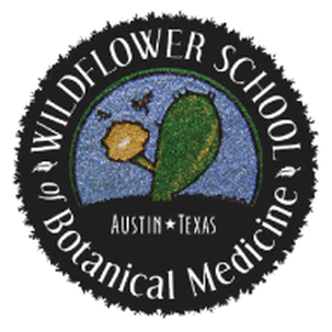 Wildflower School of Botanical Medicine Austin Texas Moonflower Sponsor